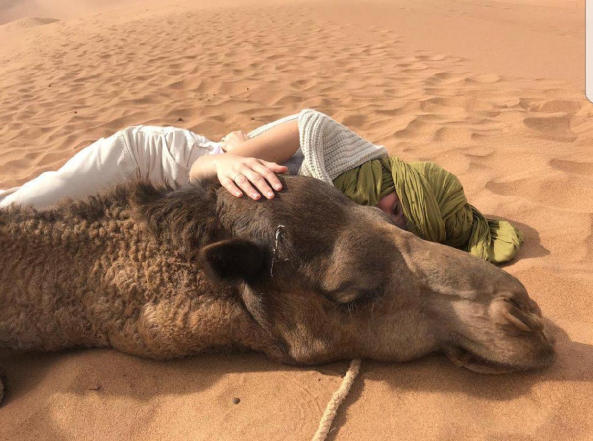 Sahara Family Camp Hotel Merzouga Eksteriør billede
